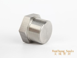 Stainless Steel Plug Source Manufacturer