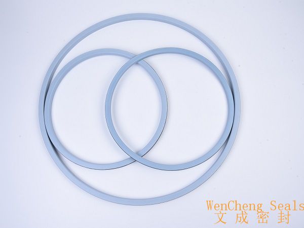 EP PTFE/EPDM Manlid Seals Featured Image