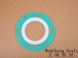 Reliable Supplier Injection Nylon Flat Washers -
 PTFE/CNAF(4holes+6holes) – Lucky Star Seal