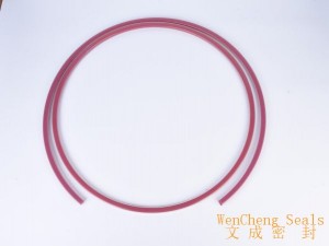 FEP/Red Silicone Manlid Seals