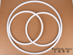 FEP/White Silicone  Manlid Seals