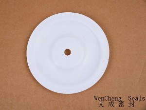 Professional China Industrial Ptfe Gasket -
 PTFE Corrosion resistant acid-base diaphragm  – Lucky Star Seal