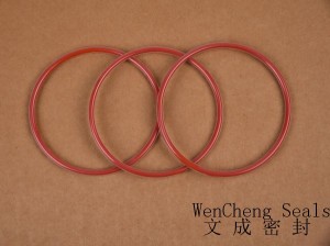 factory Outlets for High Temperature Ptfe Rod -
 Container Valve  FEP Encapsulated Silicone O-ring – Lucky Star Seal