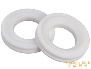 Supply ODM Expanded Ptfe Joint Tape -
 1 1/2”Airline Ball Valve front PTFE Seal – Lucky Star Seal