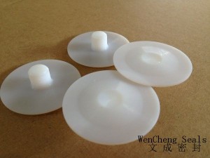 Reasonable price Plastic Ptfe Gasket -
 Chemical Dosing Pump PTFE Diaphragm – Lucky Star Seal