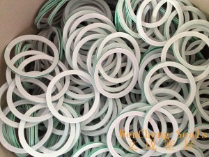Factory Free sample Round Rubber Washer -
 No-hole PTFE Envelope CNAF Gasket – Lucky Star Seal